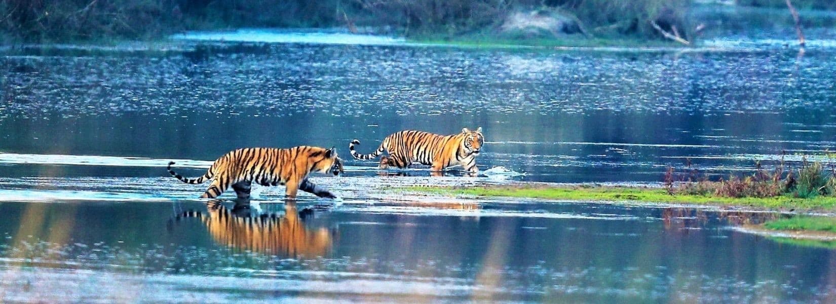 6 Days Bardia National Park Tour Package