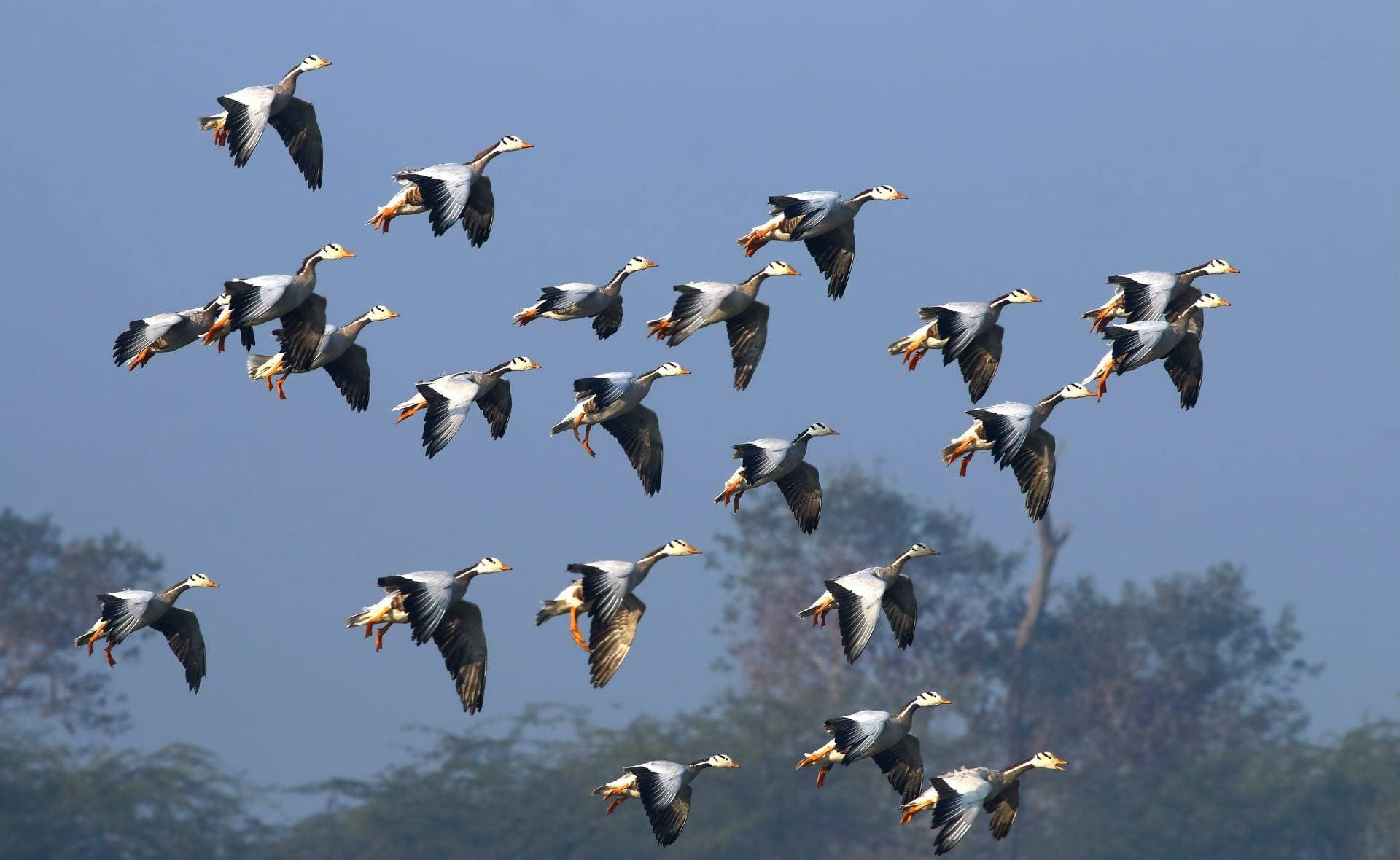 6 Days Koshi Tappu Wildlife Reserve Tour Package