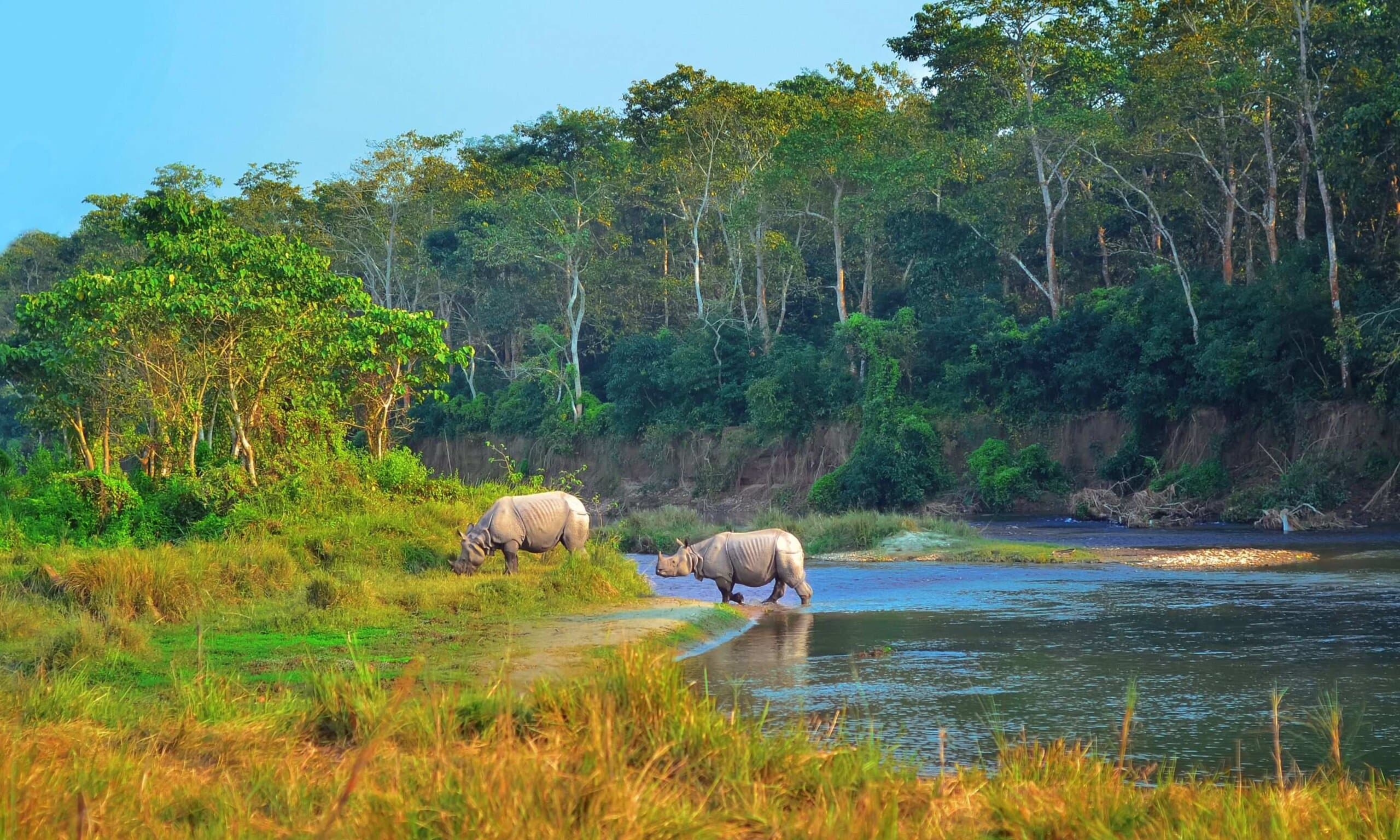 4 Days Chitwan Jungle Safari Package