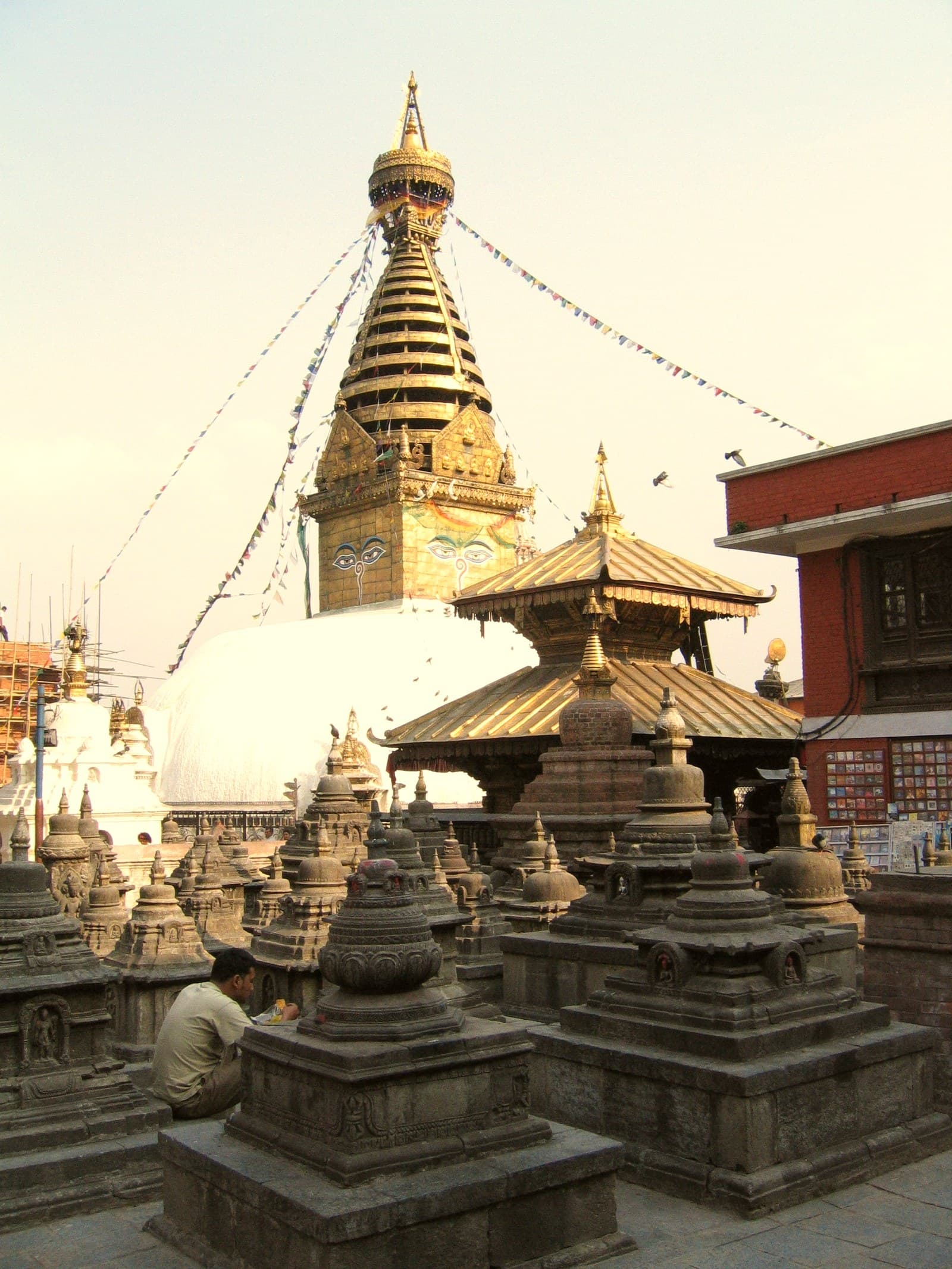 12 Days ABC + Mardi Himal Trek 5