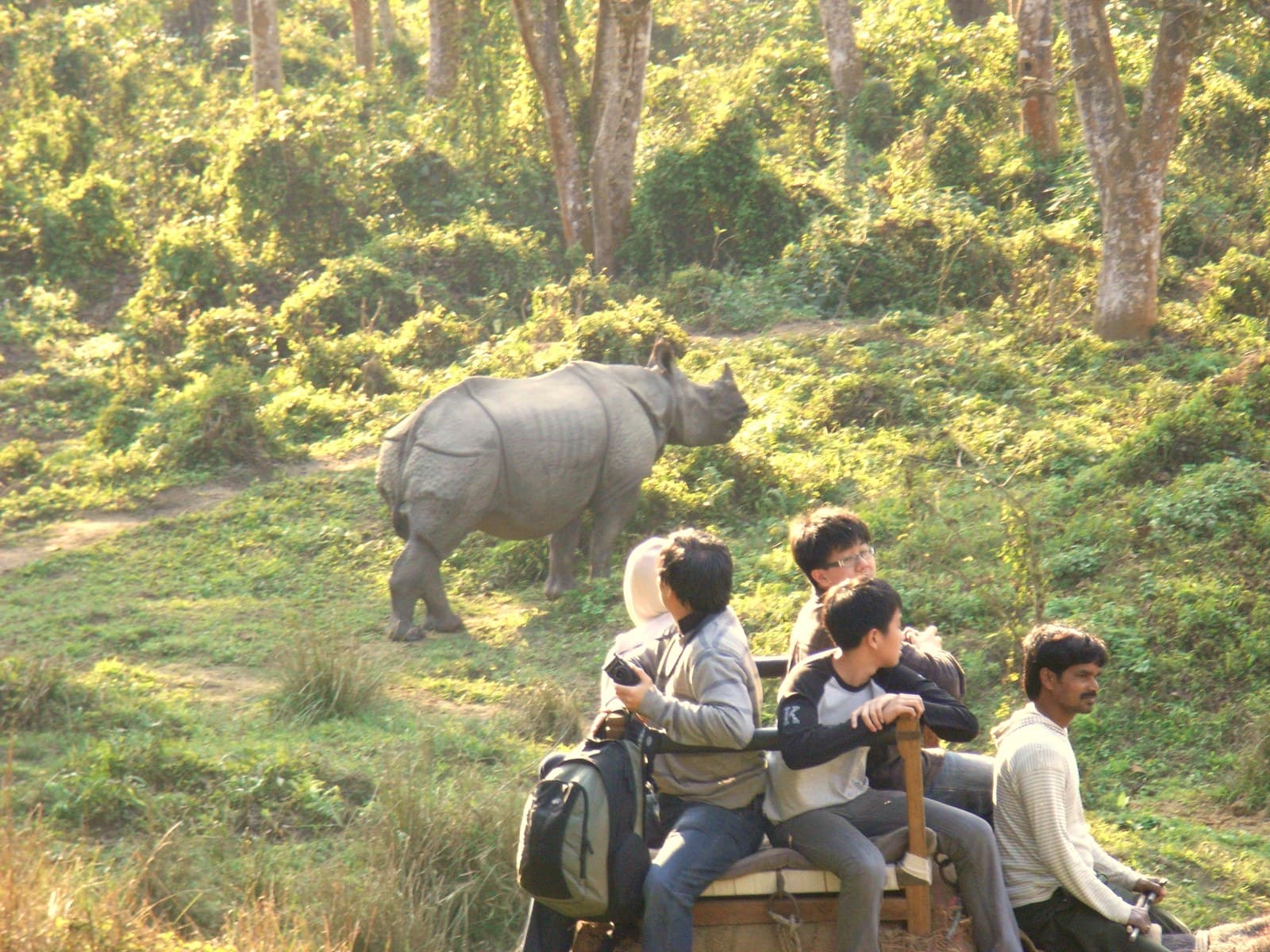 4 Days Chitwan Jungle Safari Package 6