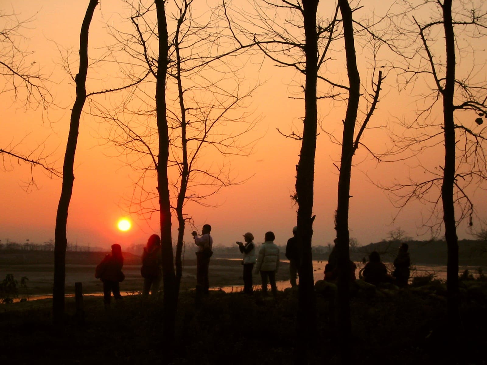 4 Days Chitwan Jungle Safari Package 8