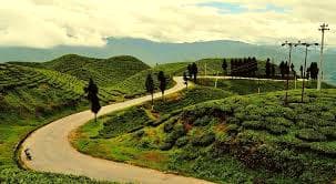 12 Days Ilam & Sandakpur Trek (Eastern Nepal) 2