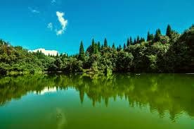 12 Days Ilam & Sandakpur Trek (Eastern Nepal) 3