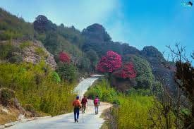 12 Days Ilam & Sandakpur Trek (Eastern Nepal) 4