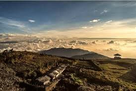 12 Days Ilam & Sandakpur Trek (Eastern Nepal)