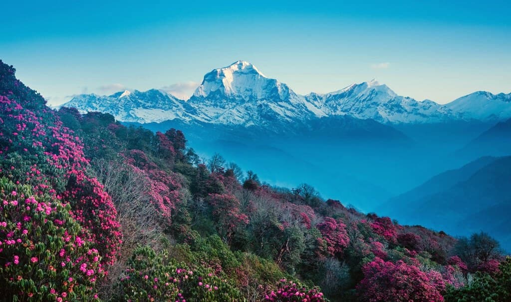 11 Days Jomsom Muktinath Trek 4