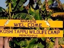 6 Days Koshi Tappu Wildlife Reserve Tour Package 1