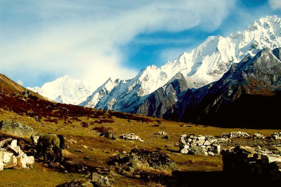 17 Days Langtang, Helambu & Gosainkunda Trek 5