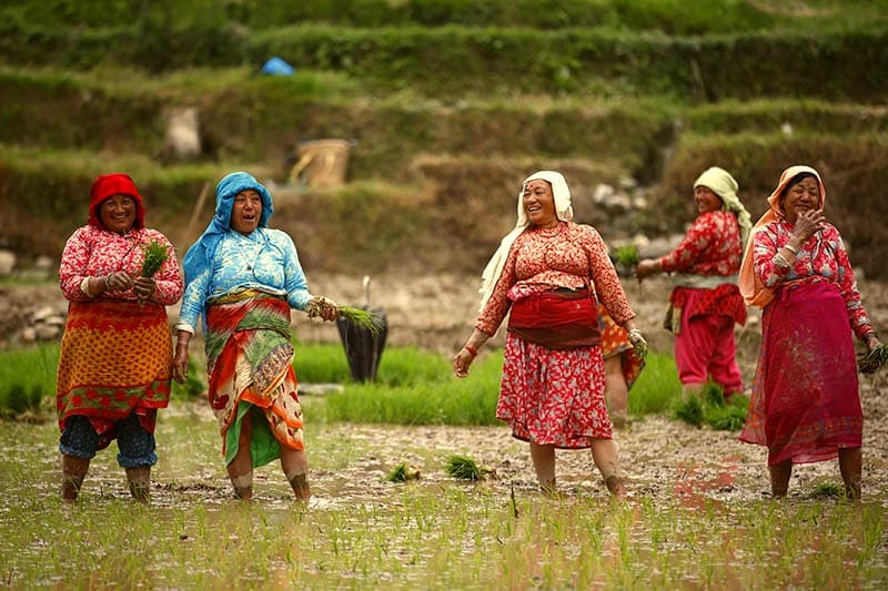 7 Nights / 8 Days Nepal Gai Jatra & Ropai Festival Tour Package 2