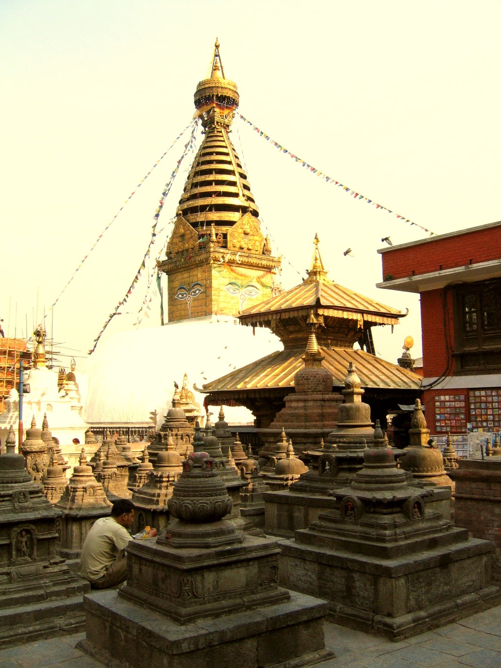 7 Nights / 8 Days Nepal Gai Jatra & Ropai Festival Tour Package 4
