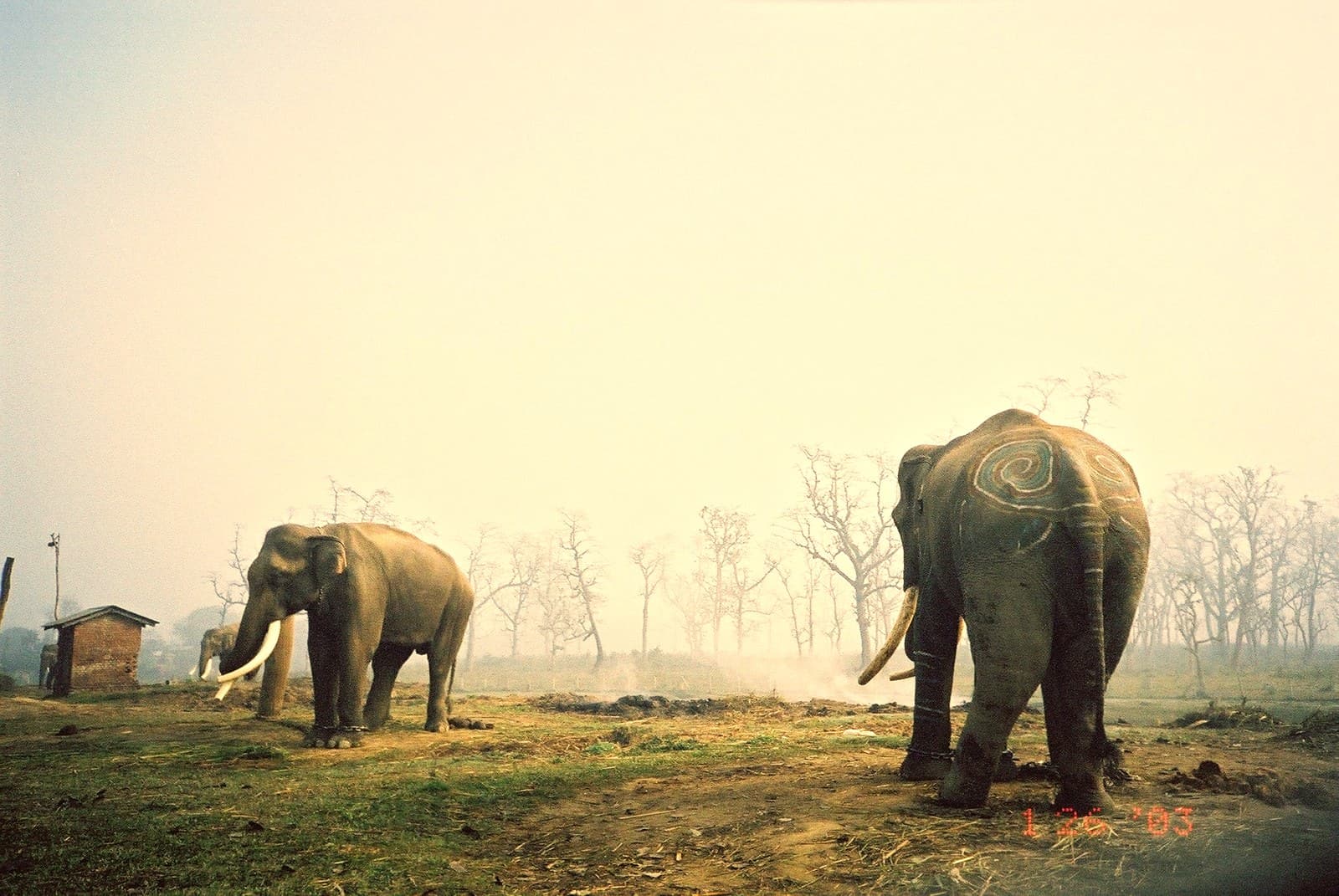 7 Nights 8 Days Nepal Luxury Tour Package 2