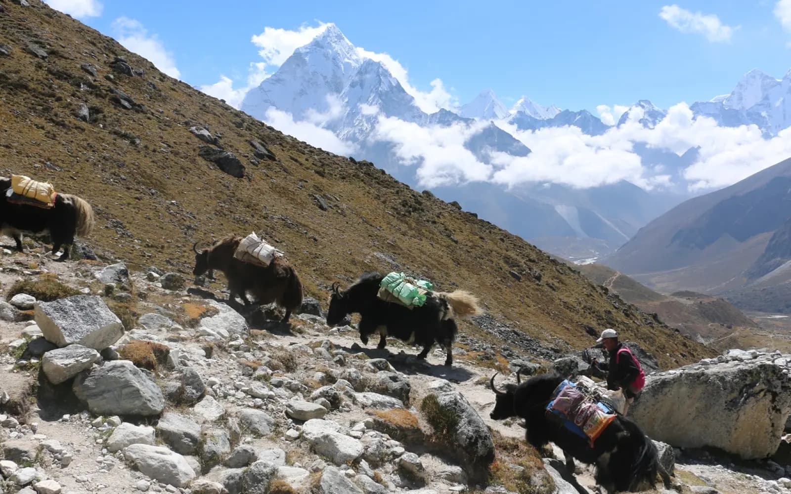14 Days Everest Base Camp Trekking Tour 1